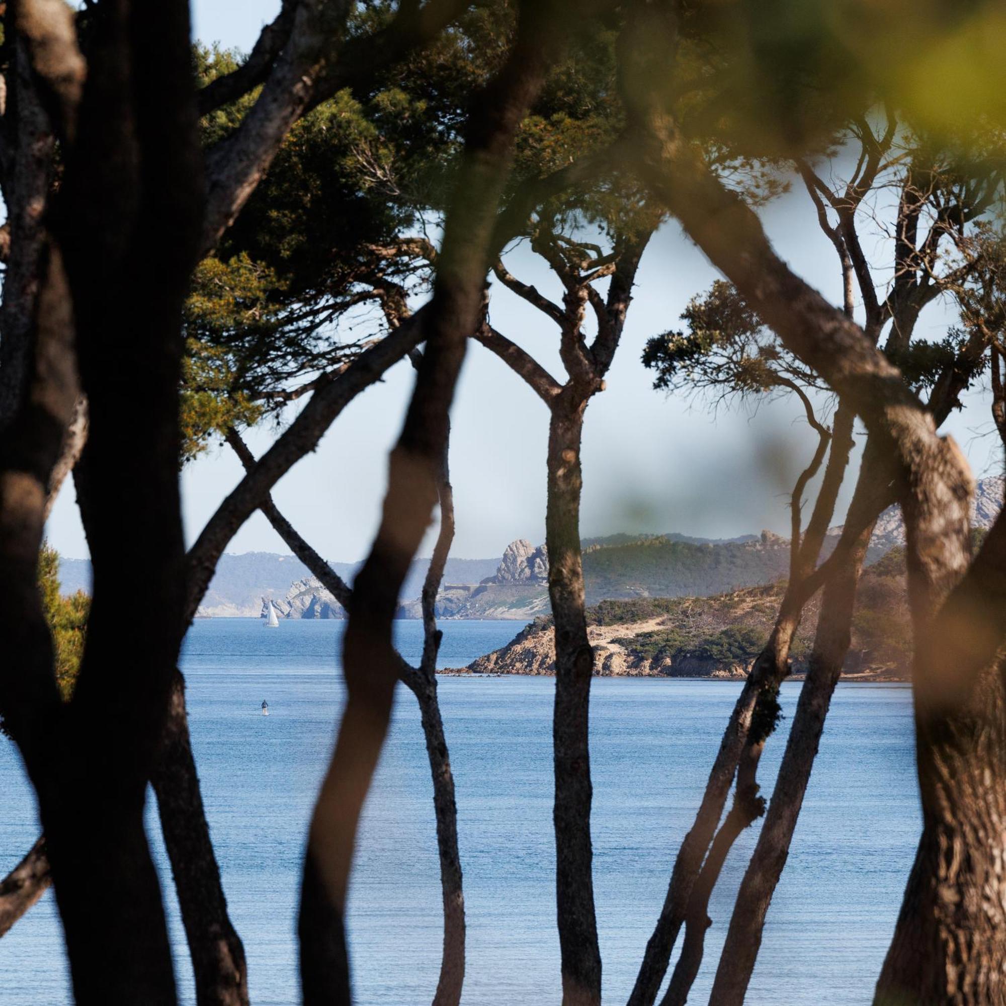 Le Domaine De La Mer - Beach Hotel Nature&Authenticite イエール エクステリア 写真